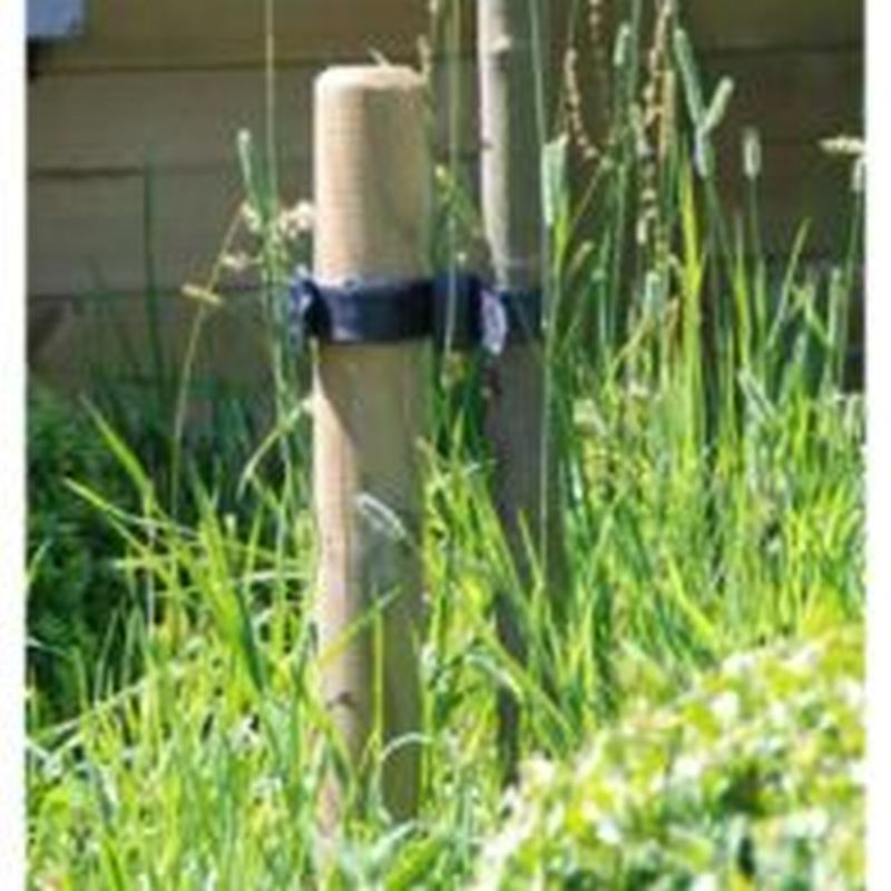 Tree Stake & Tie Plant Supports Arboretum Garden Centre